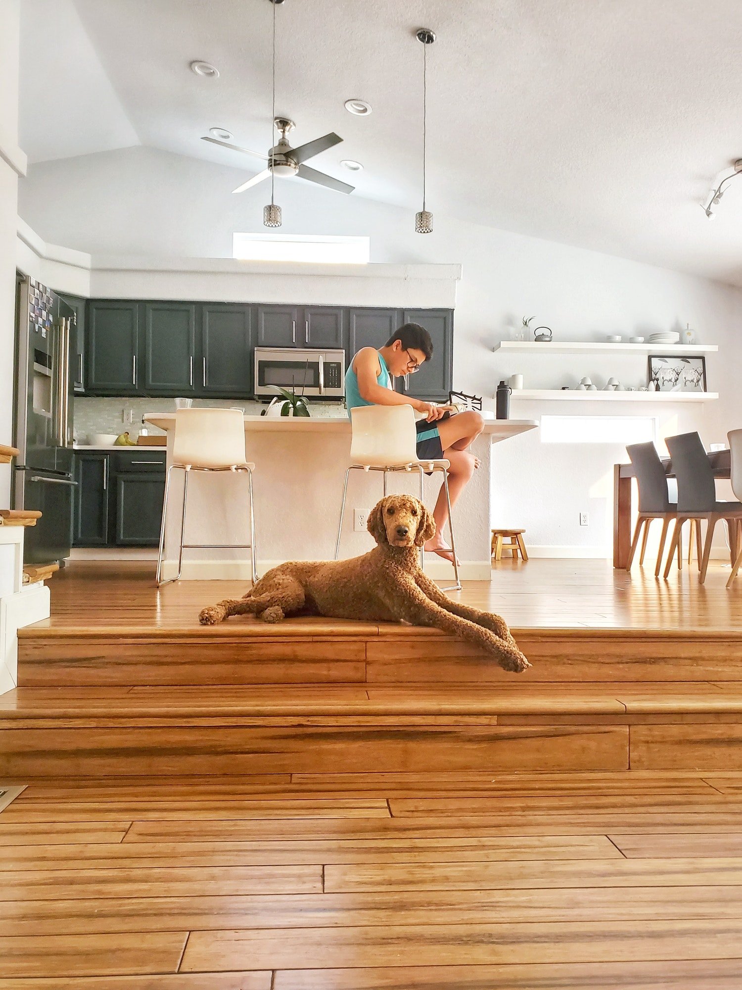 Boy reading with his poodle dog